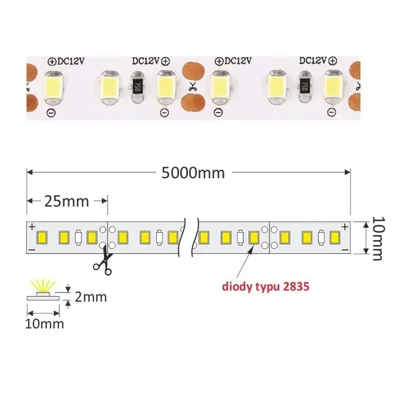 R-2835-600-20-60K-02 LED лента PREMIUM 600 LED 2835 IP20 10 мм 6000К 60W/5m - 2