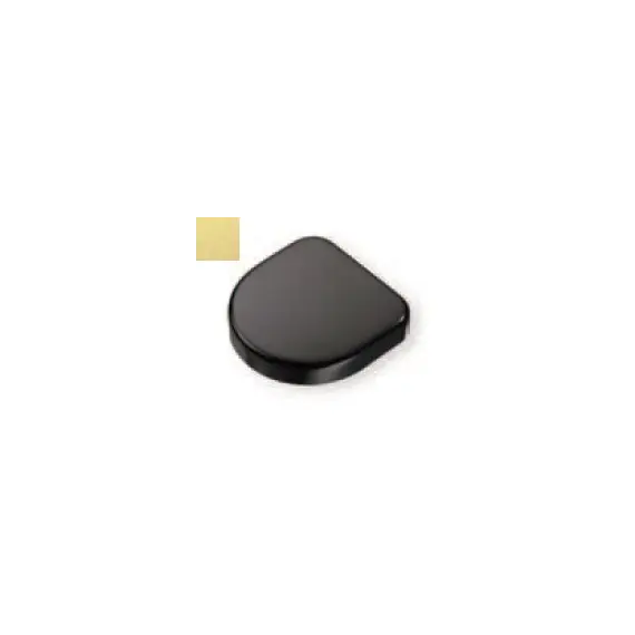 245-4234-300-00 Заглушка Titus на чашку петли ST и Basic, пластик латунь