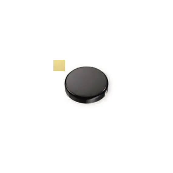 245-4236-300-00 Заглушка Titus на чашку петли ST и Basic круглая, пластик латунь